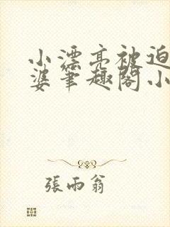 小漂亮被迫当老婆笔趣阁小说最新章封面