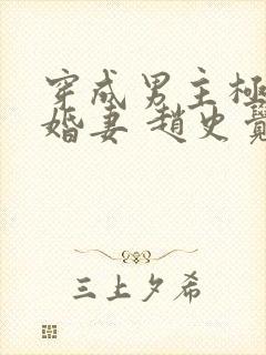 穿成男主极品未婚妻 赵史觉封面