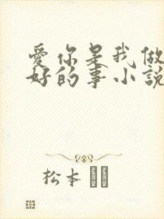 爱你是我做过最好的事小说全文免费阅读