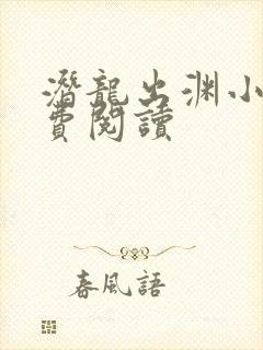 潜龙出渊小说免费阅读封面