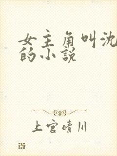 女主角叫沈清韵的小说封面