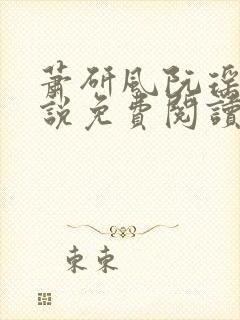 萧研风阮瑶光小说免费阅读最新章节封面