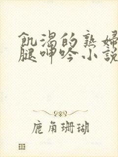 饥渴的熟妇张开腿呻吟小说