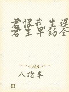 君恨我生迟我恨君生早的全文诗意