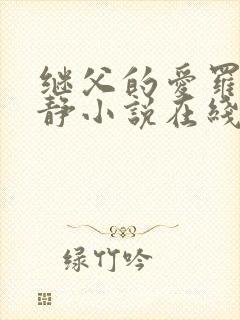 继父的爱罗天伊静小说在线阅读