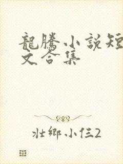 龙腾小说短篇辣文合集