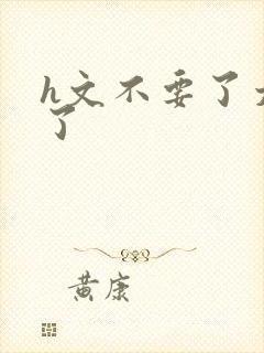 h文不要了太大了封面