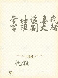 爹地追妻我助攻电视剧大结局