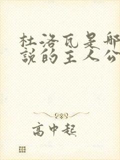 杜洛瓦是哪部小说的主人公