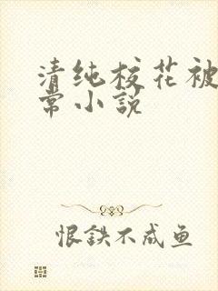 清纯校花被肉日常小说