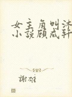 女主角叫沐溪的小说顾成轩