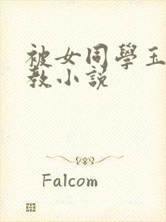 被女同学玉足调教小说