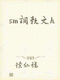 sm调教文h封面