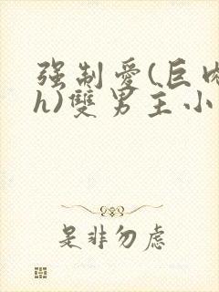 强制爱(巨肉高h)双男主小说