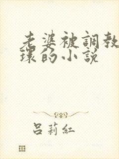 老婆被调教穿乳环的小说封面