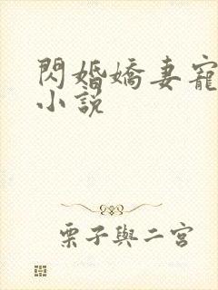 闪婚娇妻宠上天小说