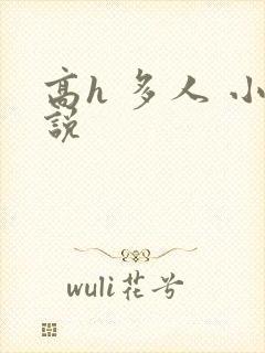 高h 多人 小说