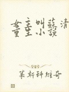 女主叫苏清欢的重生小说