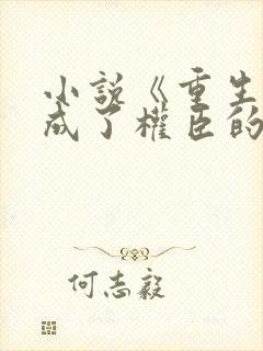 小说《重生后我成了权臣的掌中娇》