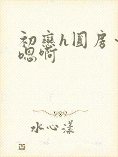 初恋h圆房～h嗯啊封面