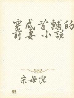 穿成首辅的炮灰前妻 小说封面