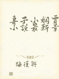 妻子小娴贾仁的小说最新章节