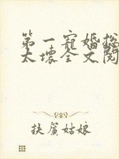 第一宠婚总裁别太坏全文阅读封面