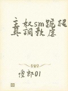 主奴sm跪爬道具调教虐封面