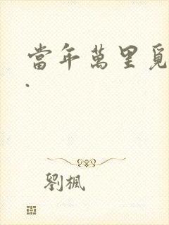 当年万里觅封侯.封面