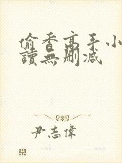 偷香高手小说阅读无删减