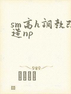 sm高h调教改造np