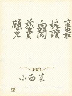 顾慈向婉宁小说免费阅读最新章节封面