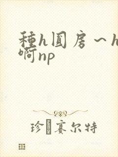 种h圆房～h嗯啊np