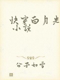 快穿白月光有毒 小说