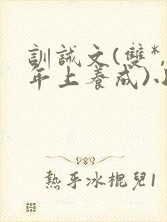 训诫文(双*,年上养成)小说