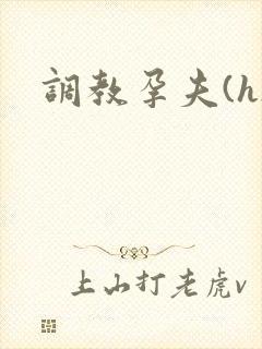 调教孕夫(h)封面