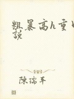 粗暴高h重口小说