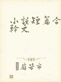 小说短篇合集高干文