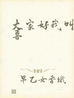 大家好我叫林小喜封面