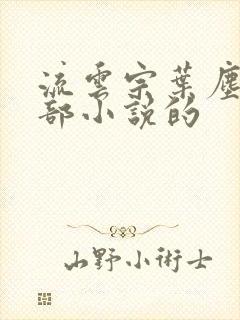 流云宗叶尘是哪部小说的