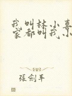 我叫林小喜 大家都叫我小喜小说
