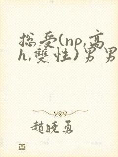 总受(np,高h,双性)男男封面