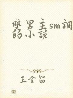 双男主sm调教的小说