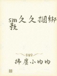 sm久久捆绑调教
