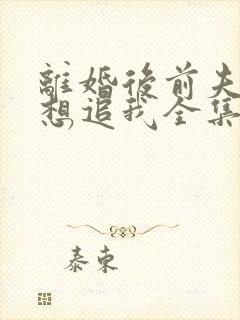 离婚后前夫总是想追我全集txt封面