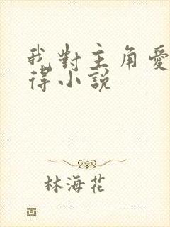 我对主角爱而不得小说