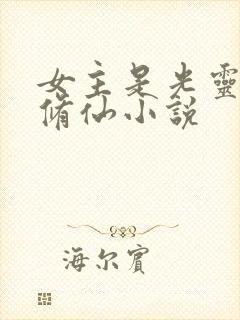 女主是光灵根的修仙小说