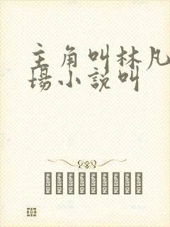 主角叫林凡的官场小说叫