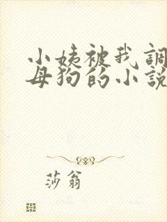 小姨被我调教成母狗的小说在线阅读