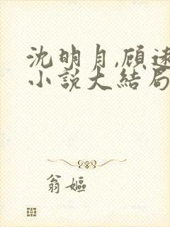 沈明月,顾远舟小说大结局